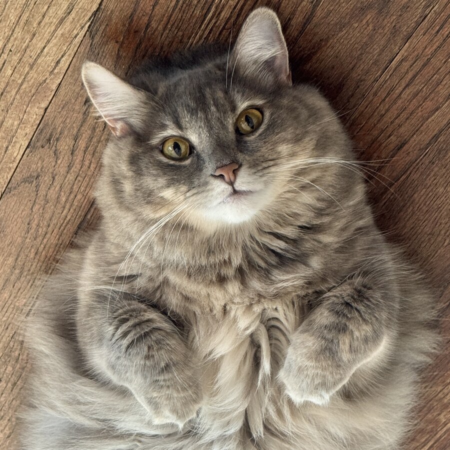 Peaches